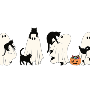 Ghosts with Black cats
