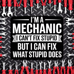 I'm a mechanic..Can't fix stupid