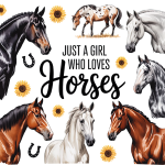 Just a girl who loves horses