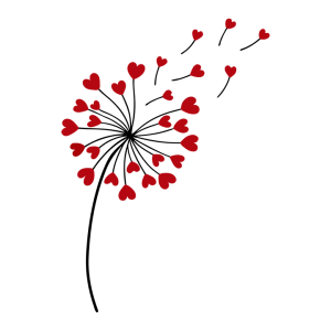 Heart dandelion